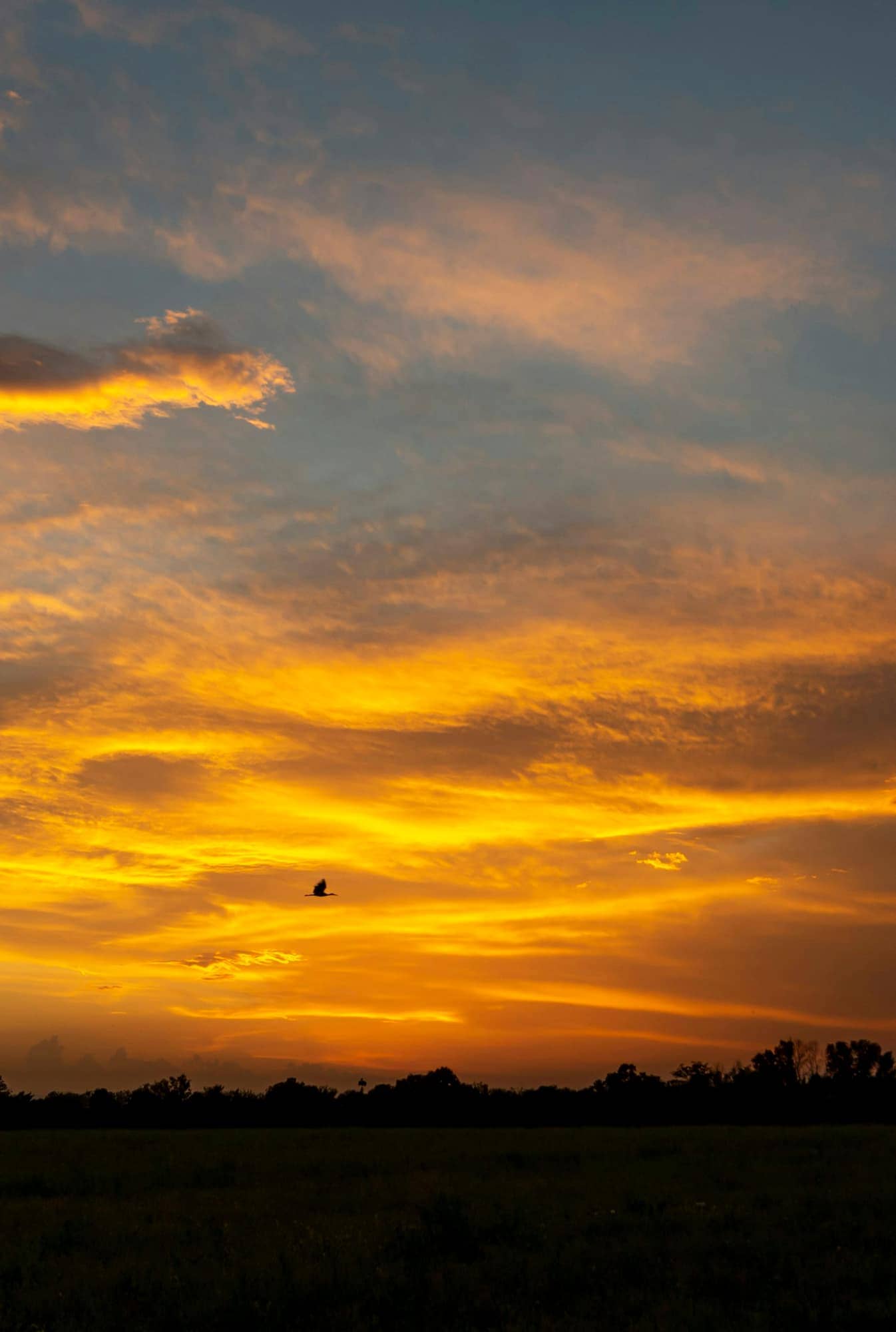 Warm dusk settling over the land (Reference image, not a CHAYP project)