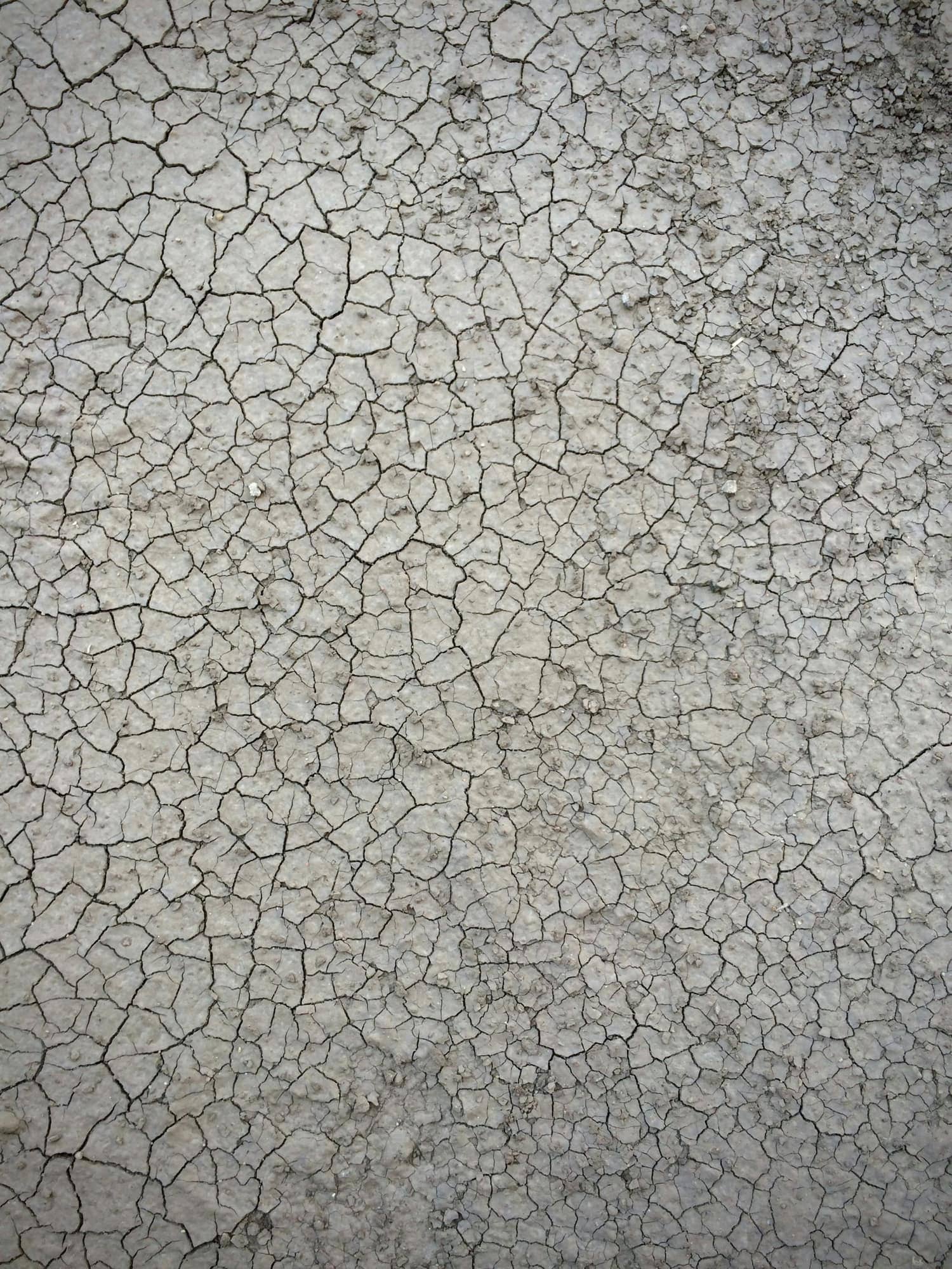 Sun-dried, cracked earth (Reference image, not a CHAYP project)